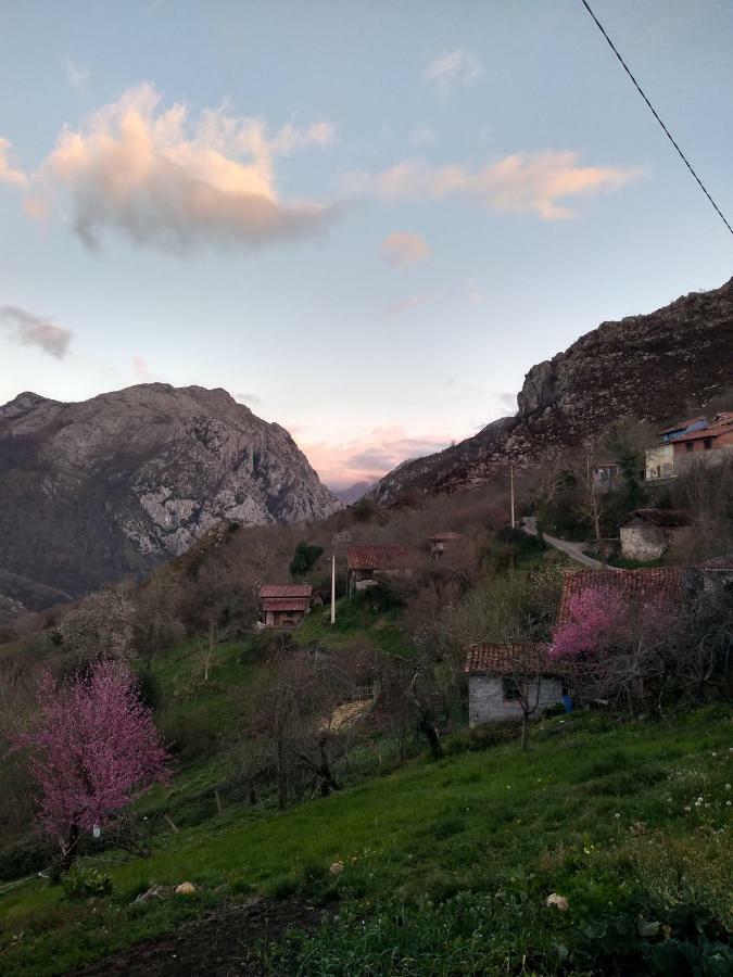Vista  El Llagar 빌라 외부 사진